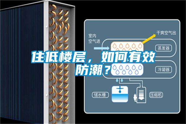 住低樓層，如何有效防潮？