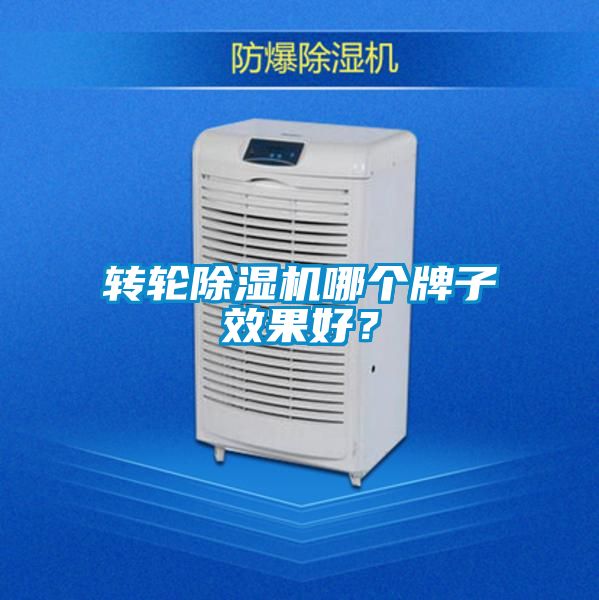 轉(zhuǎn)輪除濕機(jī)哪個(gè)牌子效果好？