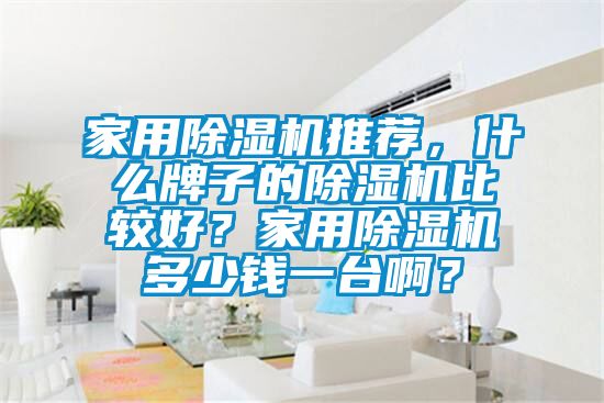 家用除濕機(jī)推薦，什么牌子的除濕機(jī)比較好？家用除濕機(jī)多少錢一臺(tái)?。?/></p>
						    <p style=
