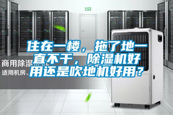 住在一樓，拖了地一直不干，除濕機好用還是吹地機好用？
