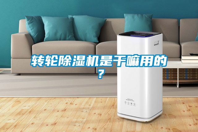 轉(zhuǎn)輪除濕機(jī)是干嘛用的？