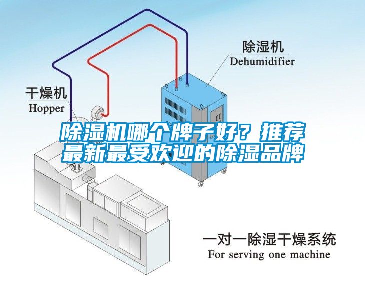 除濕機哪個牌子好？推薦最新最受歡迎的除濕品牌