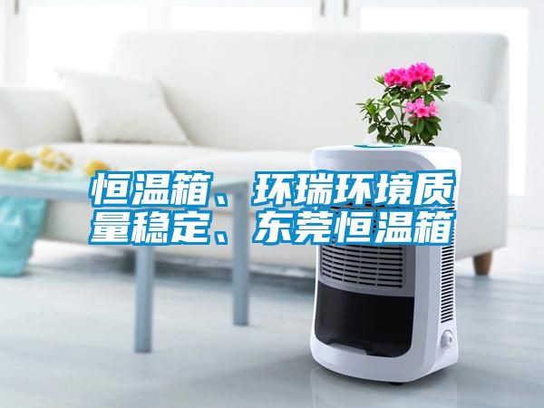 恒溫箱、環(huán)瑞環(huán)境質(zhì)量穩(wěn)定、東莞恒溫箱