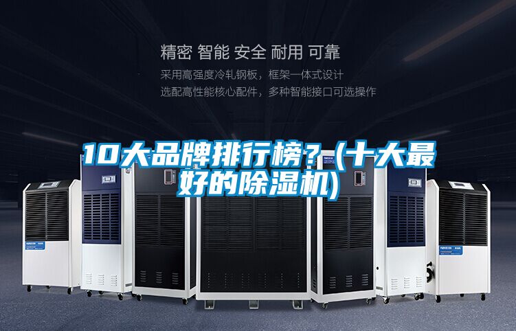 10大品牌排行榜？(十大最好的除濕機)