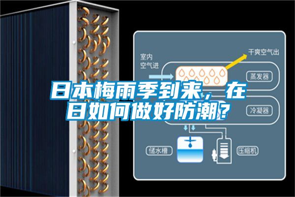 日本梅雨季到來，在日如何做好防潮？