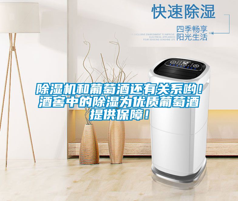 除濕機和葡萄酒還有關系喲！酒窖中的除濕為優(yōu)質(zhì)葡萄酒提供保障！