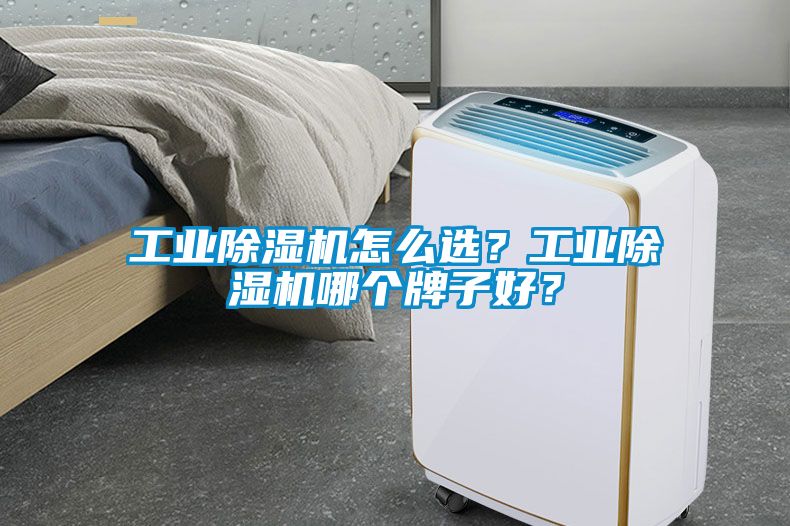 工業(yè)除濕機(jī)怎么選？工業(yè)除濕機(jī)哪個(gè)牌子好？