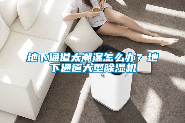 地下通道太潮濕怎么辦？地下通道大型除濕機(jī)