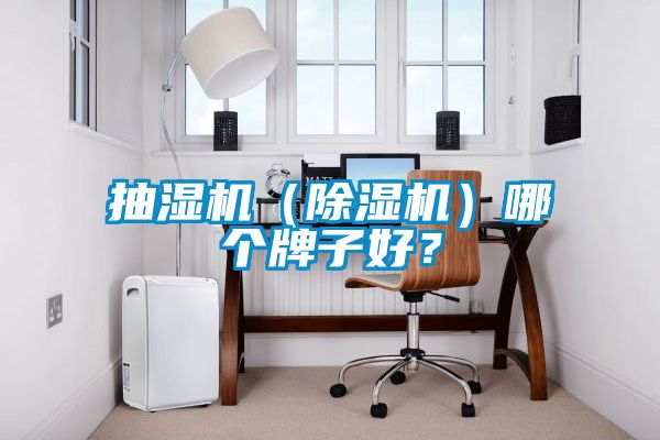 抽濕機(jī)（除濕機(jī)）哪個(gè)牌子好？