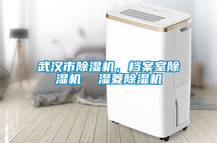 武漢市除濕機，檔案室除濕機  濕菱除濕機