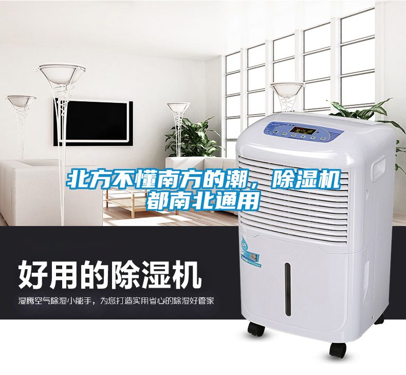 北方不懂南方的潮，除濕機(jī)都南北通用