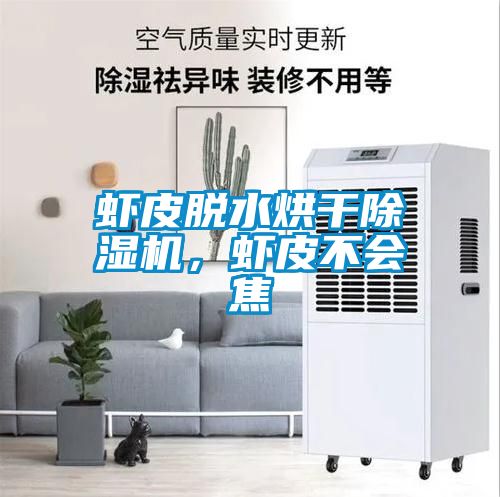 蝦皮脫水烘干除濕機(jī)，蝦皮不會(huì)焦
