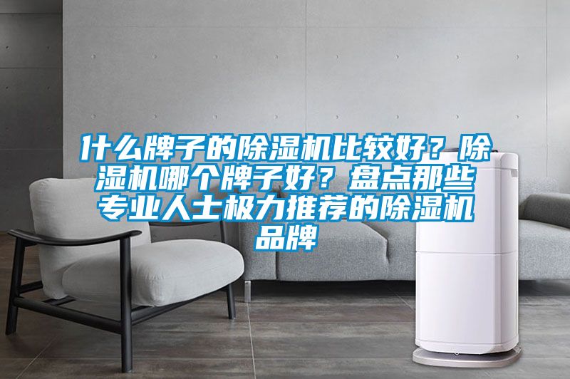 什么牌子的除濕機(jī)比較好？除濕機(jī)哪個(gè)牌子好？盤點(diǎn)那些專業(yè)人士極力推薦的除濕機(jī)品牌