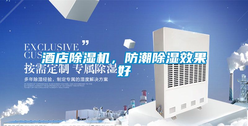 酒店除濕機，防潮除濕效果好
