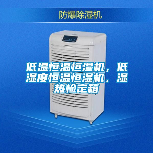 低溫恒溫恒濕機(jī)，低濕度恒溫恒濕機(jī)，濕熱檢定箱