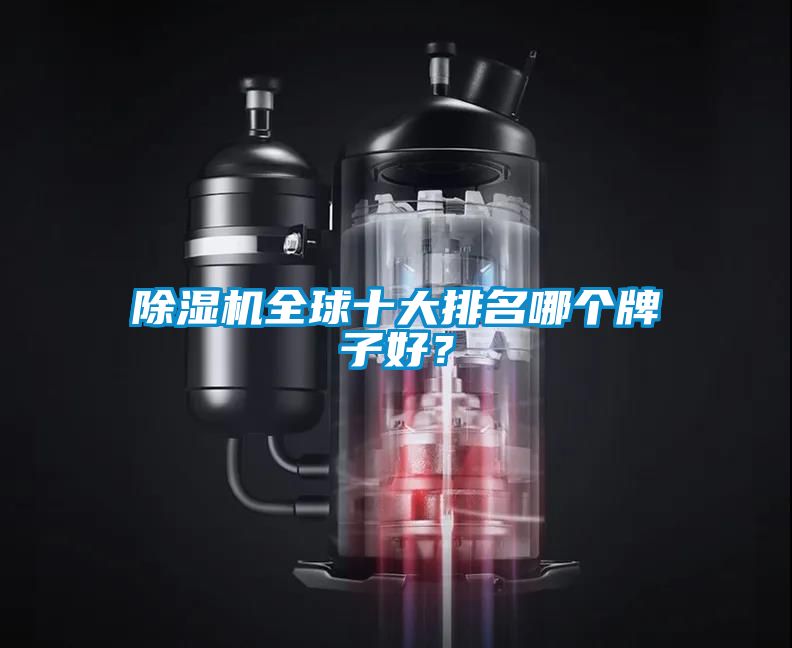 除濕機(jī)全球十大排名哪個(gè)牌子好？