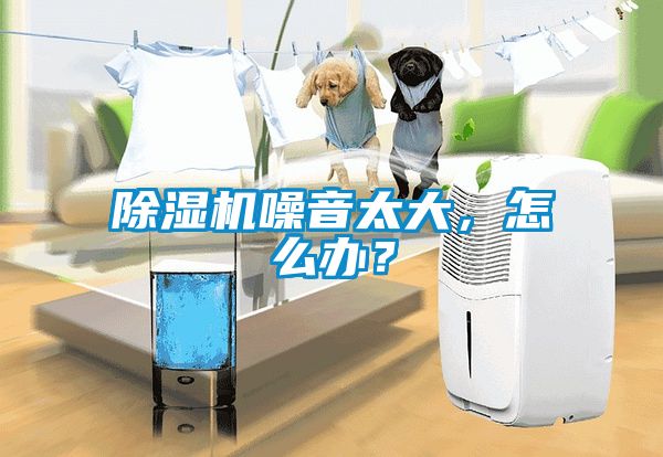 除濕機(jī)噪音太大，怎么辦？