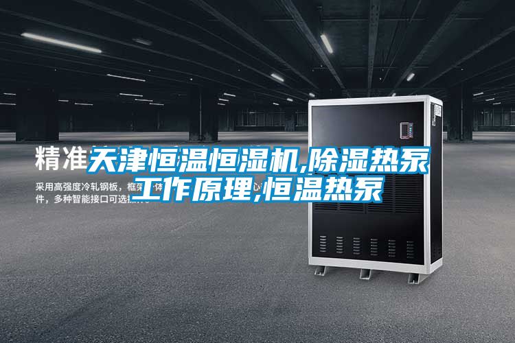 天津恒溫恒濕機,除濕熱泵工作原理,恒溫?zé)岜?/></p>
						    <p style=