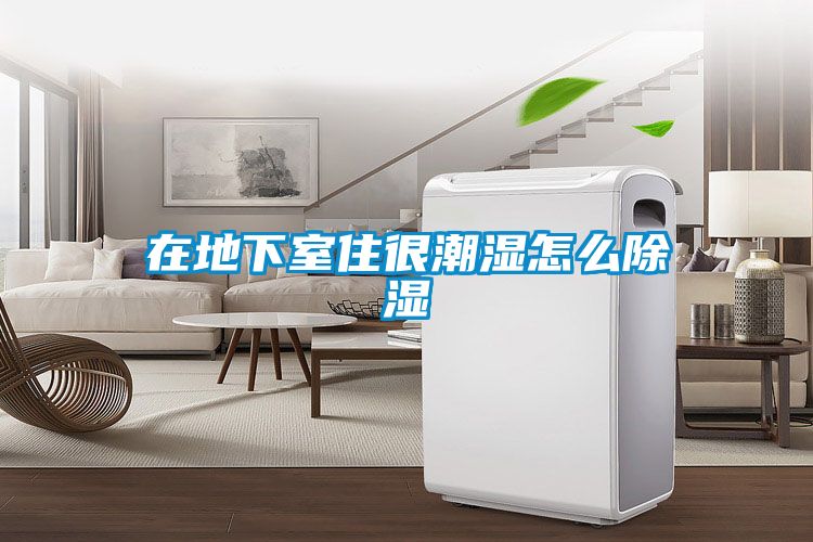 在地下室住很潮濕怎么除濕