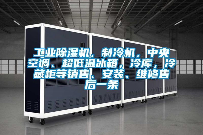 工業(yè)除濕機(jī)，制冷機(jī)，中央空調(diào)、超低溫冰箱，冷庫，冷藏柜等銷售、安裝、維修售后一條