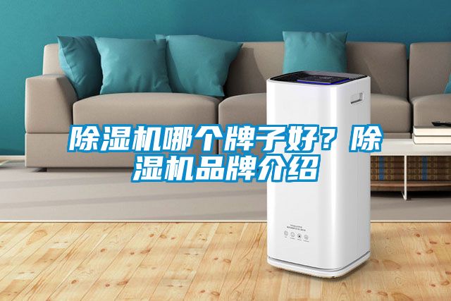 除濕機(jī)哪個(gè)牌子好？除濕機(jī)品牌介紹