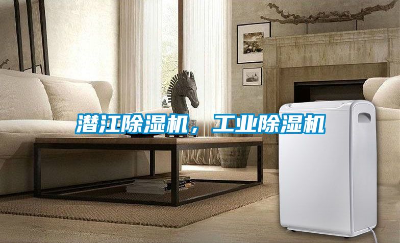 潛江除濕機，工業(yè)除濕機