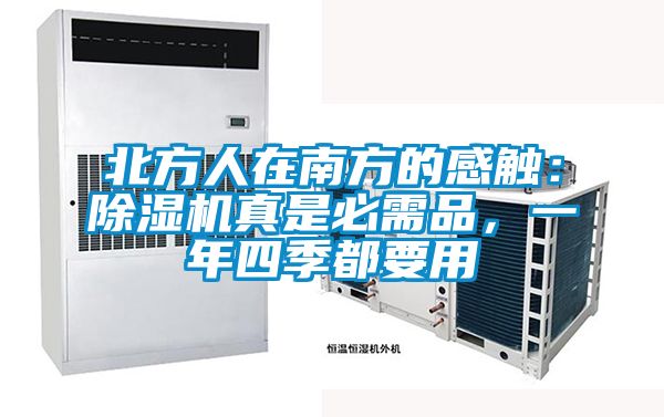 北方人在南方的感觸：除濕機(jī)真是必需品，一年四季都要用