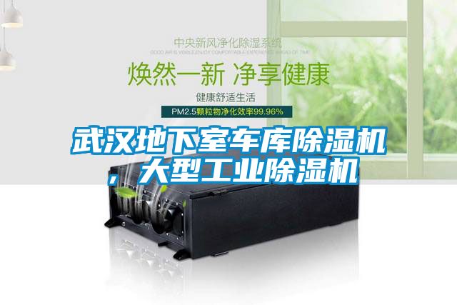 武漢地下室車庫除濕機，大型工業(yè)除濕機