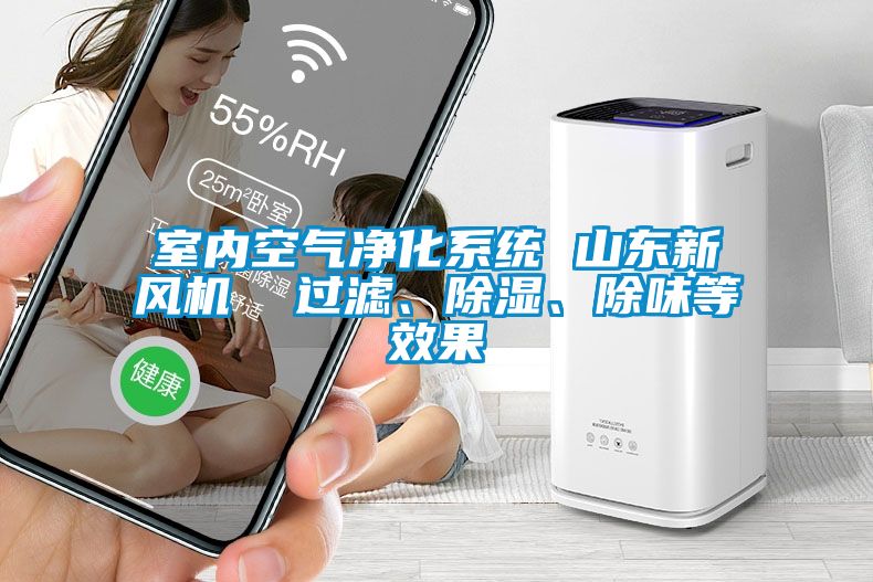 室內(nèi)空氣凈化系統(tǒng) 山東新風(fēng)機(jī)  過濾、除濕、除味等效果