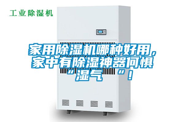 家用除濕機哪種好用，家中有除濕神器何懼 “濕氣 “！