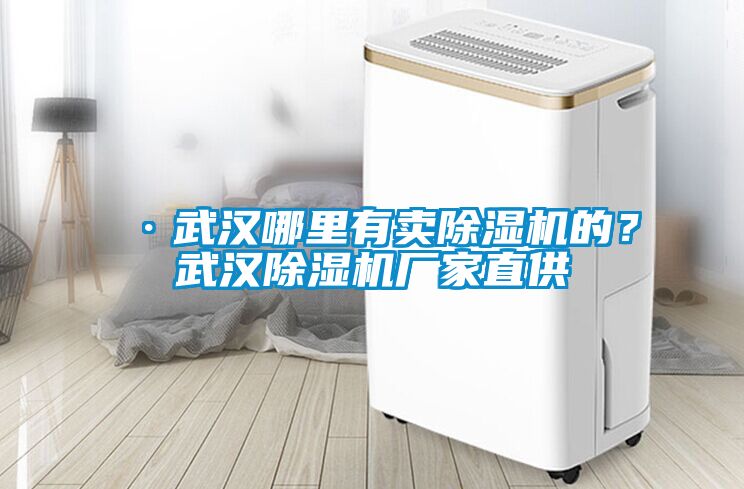 ·武漢哪里有賣除濕機(jī)的？武漢除濕機(jī)廠家直供