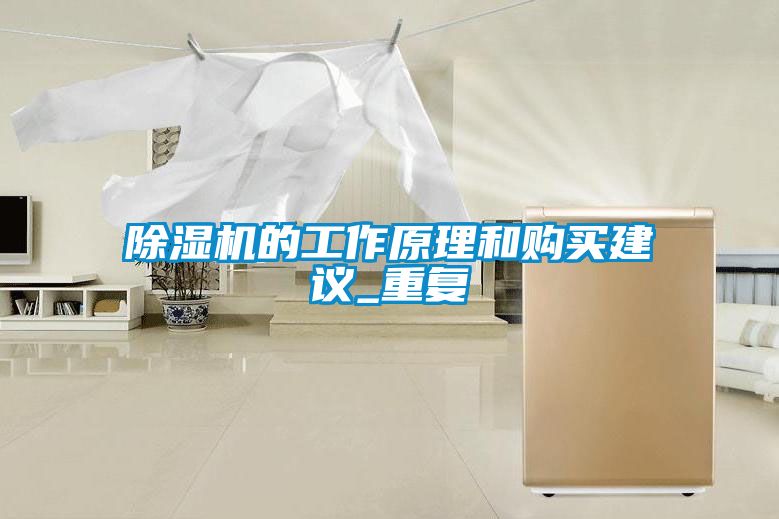 除濕機(jī)的工作原理和購(gòu)買(mǎi)建議_重復(fù)
