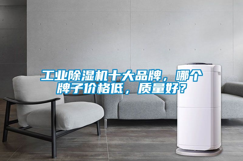 工業(yè)除濕機(jī)十大品牌，哪個(gè)牌子價(jià)格低，質(zhì)量好？