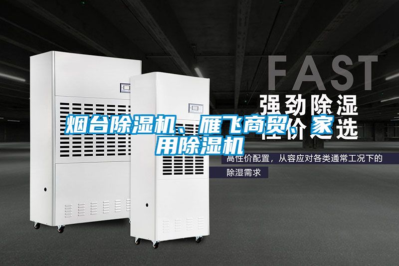 煙臺除濕機、雁飛商貿、家用除濕機