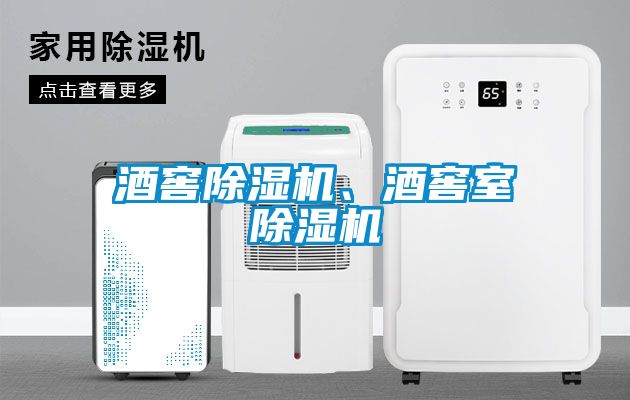 酒窖除濕機(jī)、酒窖室除濕機(jī)