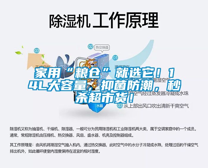 家用“糧倉(cāng)”就選它！14L大容量，抑菌防潮，秒殺超市貨！