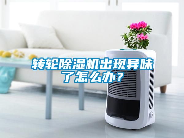 轉(zhuǎn)輪除濕機(jī)出現(xiàn)異味了怎么辦？