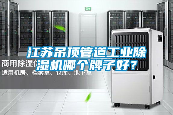 江蘇吊頂管道工業(yè)除濕機(jī)哪個(gè)牌子好？