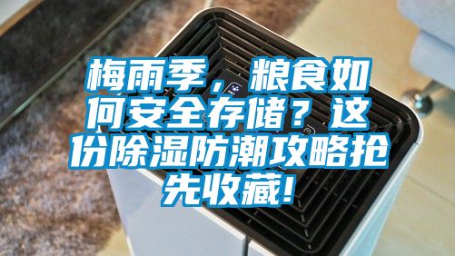 梅雨季，糧食如何安全存儲(chǔ)？這份除濕防潮攻略搶先收藏!