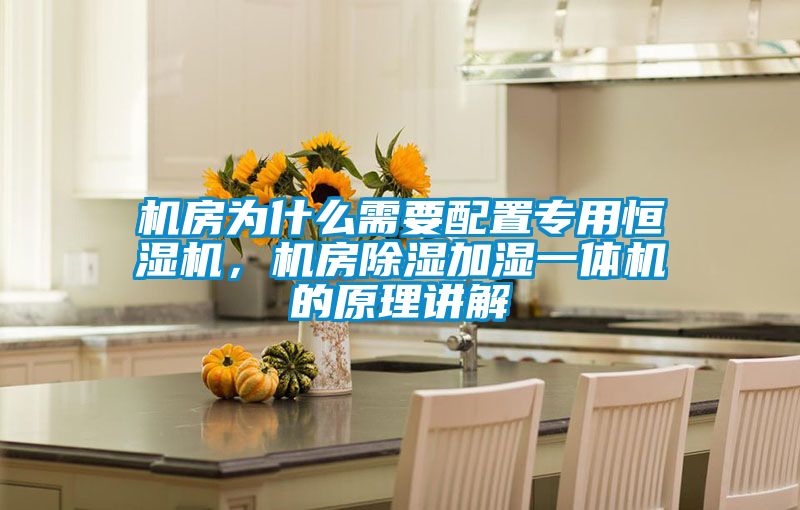 機(jī)房為什么需要配置專用恒濕機(jī)，機(jī)房除濕加濕一體機(jī)的原理講解