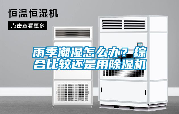 雨季潮濕怎么辦？綜合比較還是用除濕機(jī)
