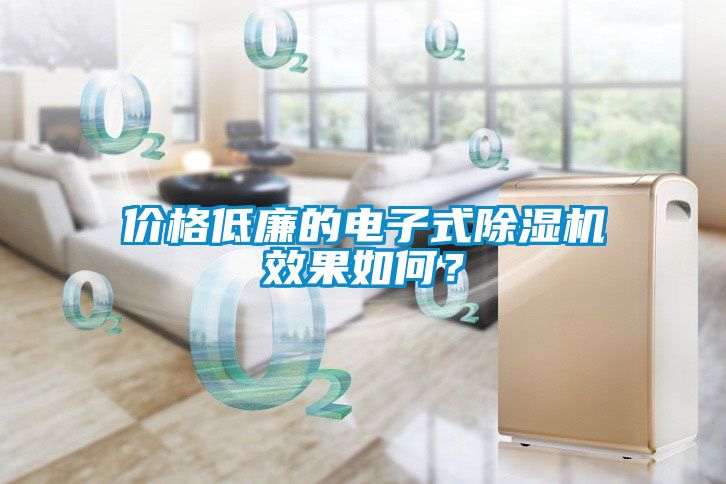 價(jià)格低廉的電子式除濕機(jī)效果如何？