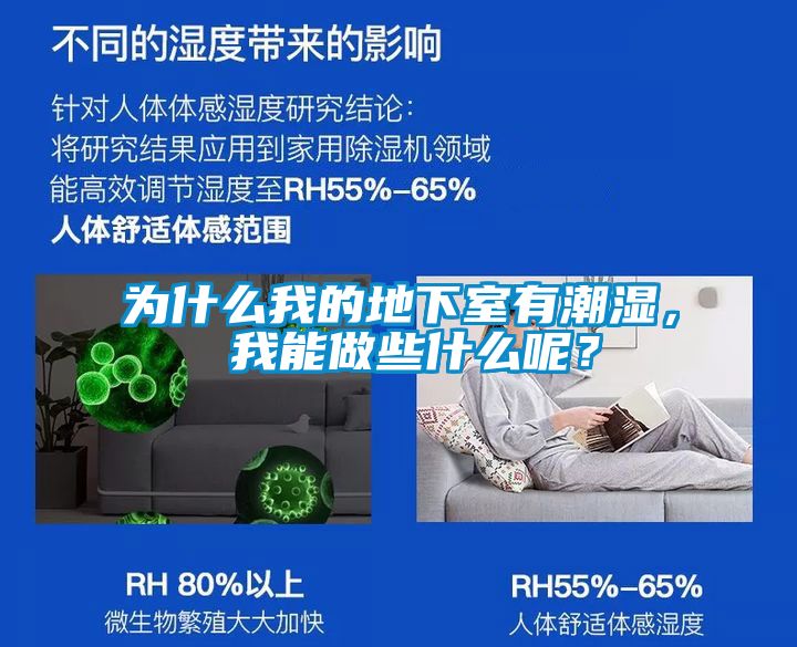 為什么我的地下室有潮濕， 我能做些什么呢？