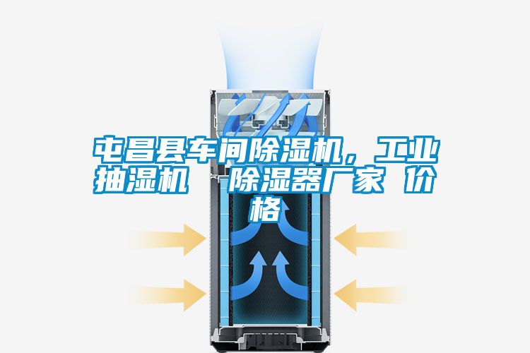 屯昌縣車間除濕機，工業(yè)抽濕機  除濕器廠家 價格