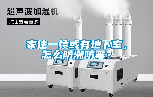 家住一樓或有地下室，怎么防潮防霉？