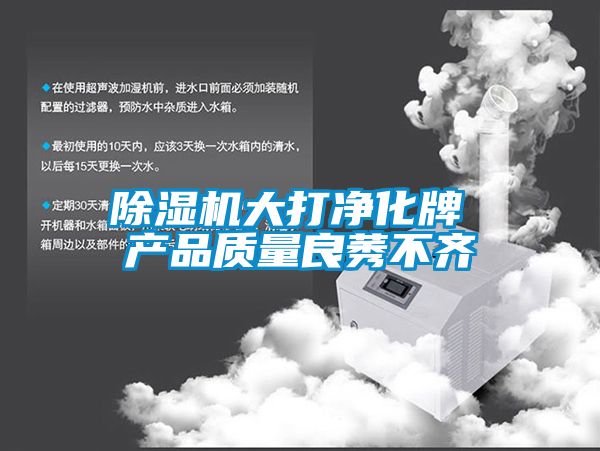 除濕機(jī)大打凈化牌 產(chǎn)品質(zhì)量良莠不齊