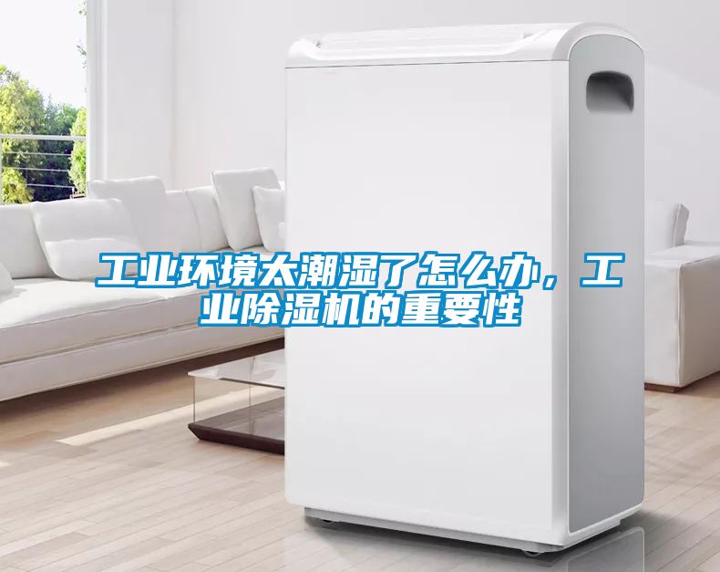 工業(yè)環(huán)境太潮濕了怎么辦，工業(yè)除濕機(jī)的重要性