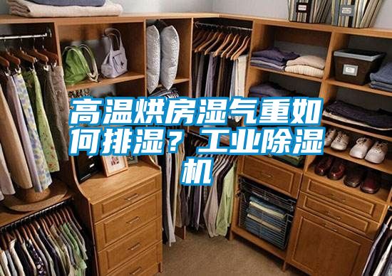 高溫烘房濕氣重如何排濕？工業(yè)除濕機
