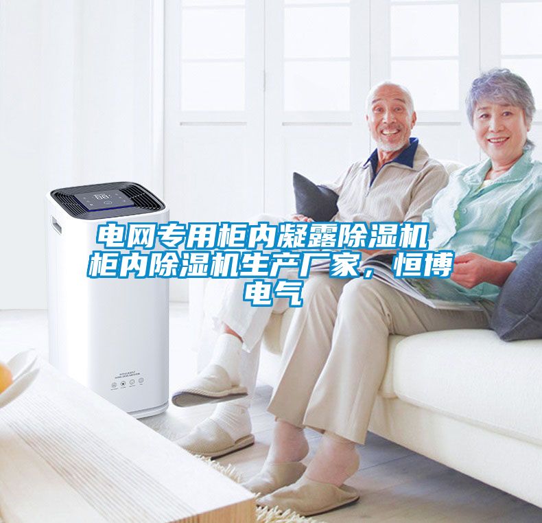 電網(wǎng)專用柜內(nèi)凝露除濕機(jī) 柜內(nèi)除濕機(jī)生產(chǎn)廠家，恒博電氣