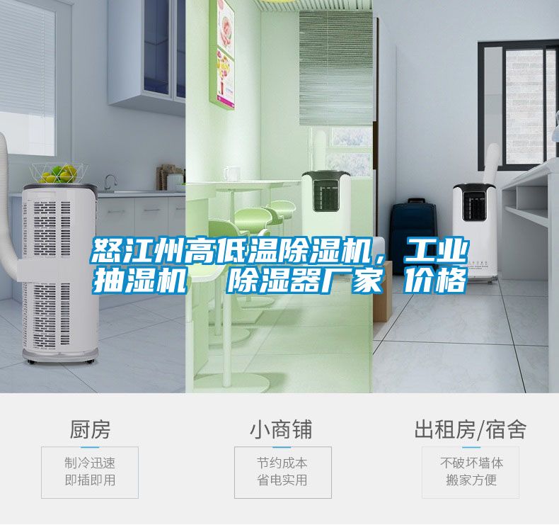 怒江州高低溫除濕機，工業(yè)抽濕機  除濕器廠家 價格